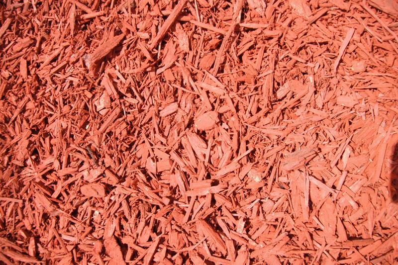 Red Dyed Bark